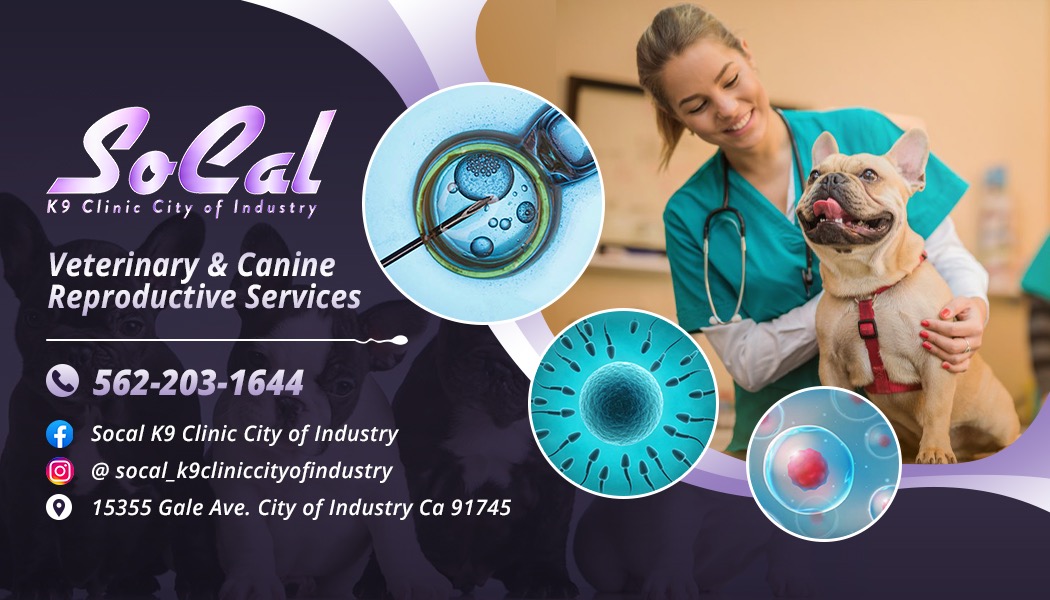 Veterinary & Canine Reproductive Service City of Industry CA