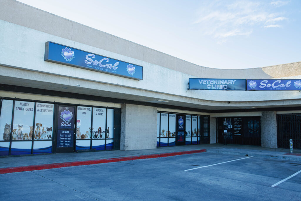 SoCal K9 Clinic – Animal Hospital Riverside CA